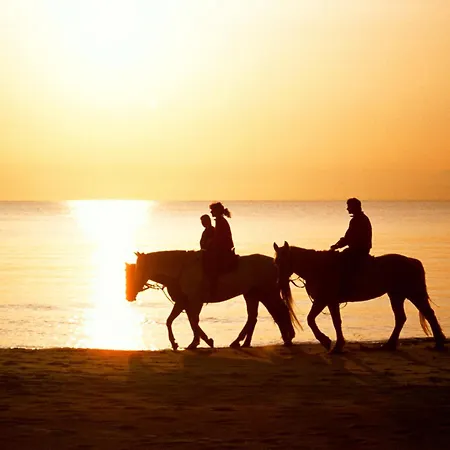 Hus Utblick 8b * Fuhlendorf (Mecklenburg-Vorpommern)