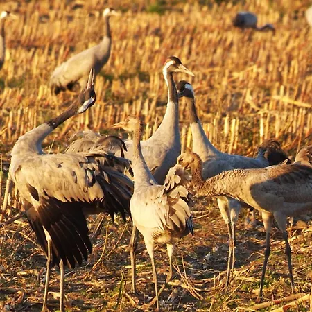 度假居 Hus Utblick 8b *