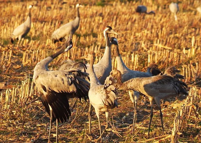 Σπίτι διακοπών Hus Utblick 8b *